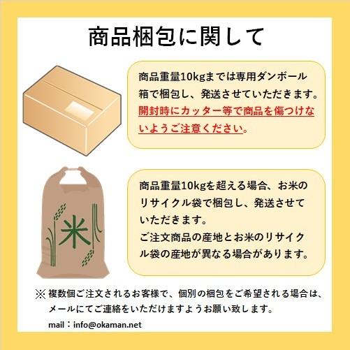 令和5年産入り 生活応援米 10kg (10kg×1袋) 送料無料