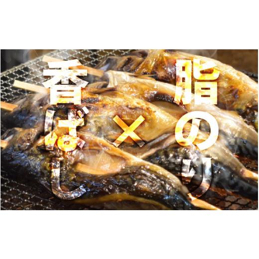 ふるさと納税 福井県 福井市 押し寿司4種 食べ比べセット 合計4本 [A-065034]