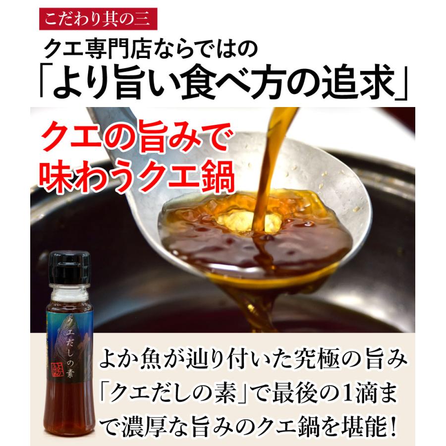 お歳暮 ギフト 長崎産天然クエ鍋とクエ刺身セット 2〜3人前 クエだしの素付き クエ鍋 クエ刺身 お取り寄せグルメ ギフト