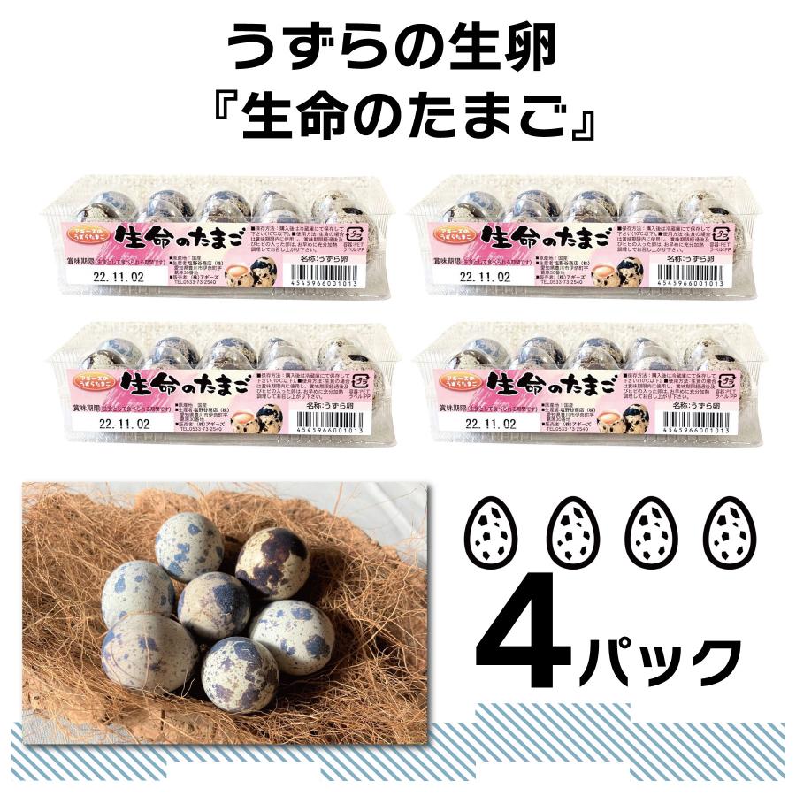 食用 豊橋産 うずらの卵 生命の生卵 10個入り 4パック 産地直送 新鮮 uzura