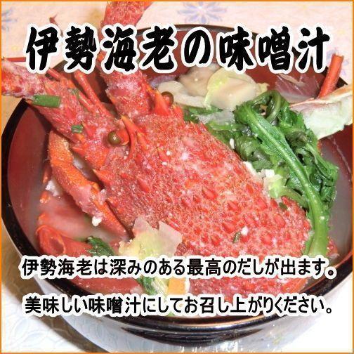 愛媛 活き 伊勢海老 2-6尾 0.9-1kg分 刺身 焼物 茹でる 汁物 送料無料 宇和海の幸問屋