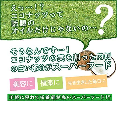 海と太陽 旅する焼ココナッツ 300g ココナッツチャンク チャック袋入