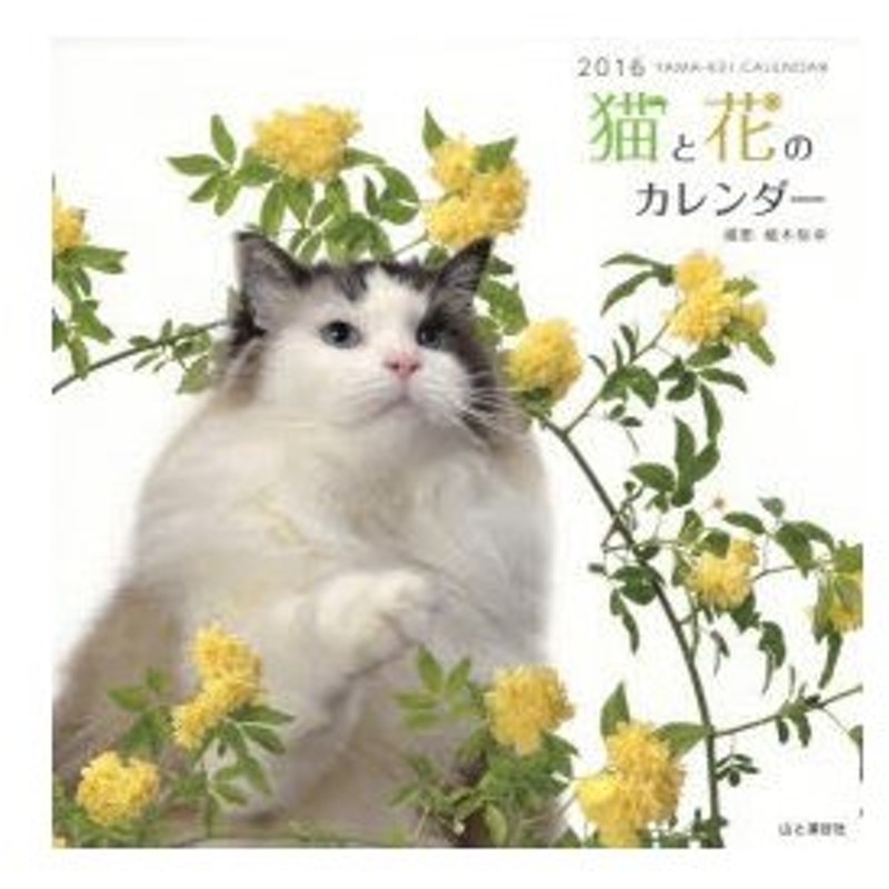 新品本 カレンダー 16 猫と花のカレンダー 植木 裕幸 撮影 通販 Lineポイント最大0 5 Get Lineショッピング