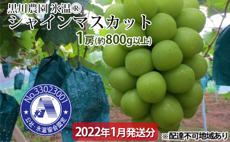 ぶどう 氷温(登録商標) シャイン マスカット 1房（約800g以上） マスカット ブドウ 葡萄  岡山県産 国産 フルーツ 果物 ギフト 黒川農園