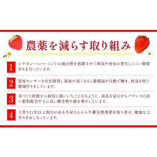 ふるさと納税 福岡県 遠賀町 あまおう 約280g×2パック 苺 イチゴ いちご 果物 フルーツ