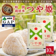 山形県産　つや姫　玄米10kg　令和5年産　農家直送