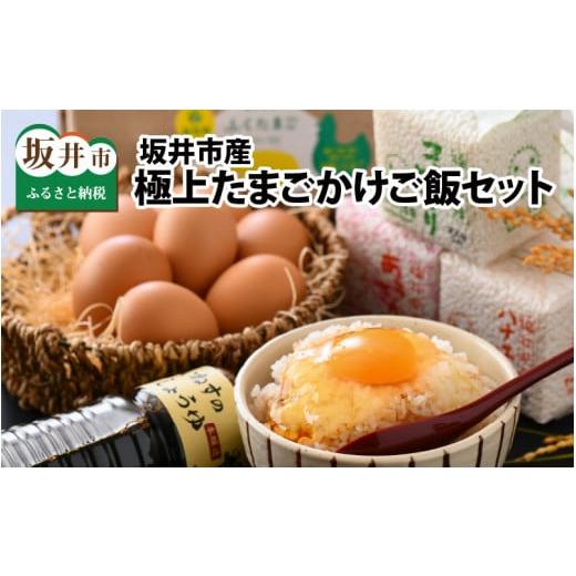 ふるさと納税 福井県 坂井市 坂井市産極上たまごかけご飯セット 〜坂井平野の恵み〜 [A-1204]