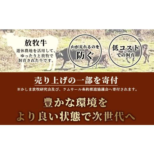 ふるさと納税 佐賀県 鹿島市 B-574 ななうら放牧牛 サイコロステーキ 300g×4袋