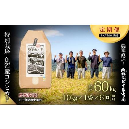 ふるさと納税 ≪令和5年産≫農家直送！魚沼産コシヒカリ特別栽培「白羽毛の米」精米(10kg×1.. 新潟県十日町市