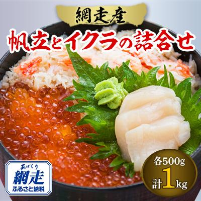 ふるさと納税 網走市 帆立とイクラの詰合せ　各500g