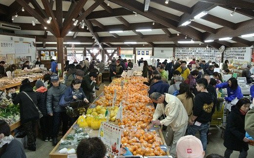 湯の花　ポンカン10kg箱セット