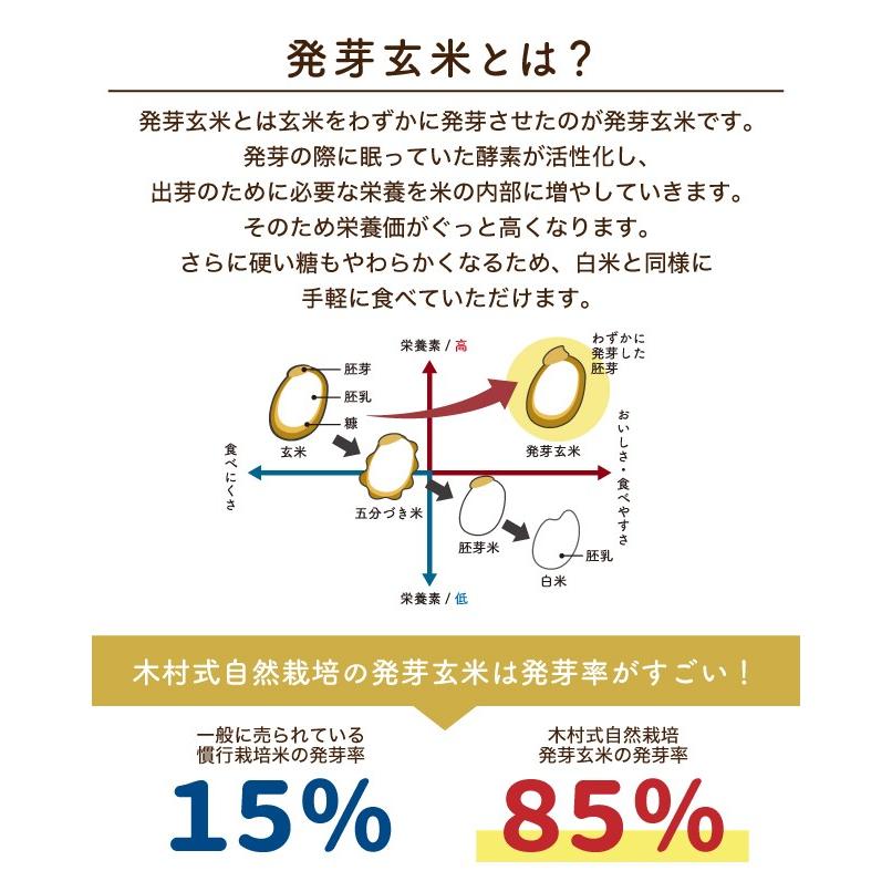 発芽玄米 レトルト パックご飯 10パック(180g×10個)  自然栽培 玄米 朝日米 木村式 農薬不使用 肥料不使用 非常食