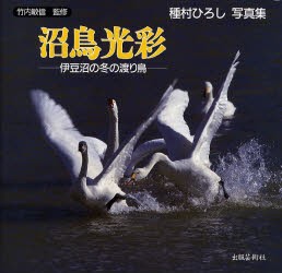 沼鳥光彩　伊豆沼の冬の渡り鳥　種村ひろし写真集　種村ひろし 著　竹内敏信 監修