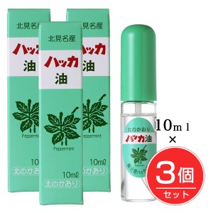 ハッカ油スプレー 10ml×3個セット 北見ハッカ通商 [ペパーミント 虫除け]  ※ネコポス対応商品