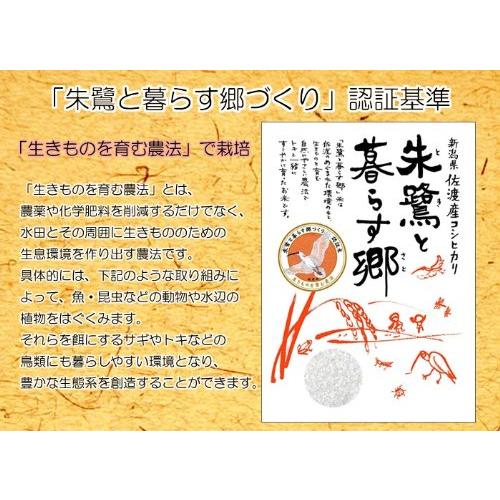  朱鷺と暮らす郷 新潟 佐渡産 こしひかり 特別栽培 令和4度度産 (玄米, 5kg)