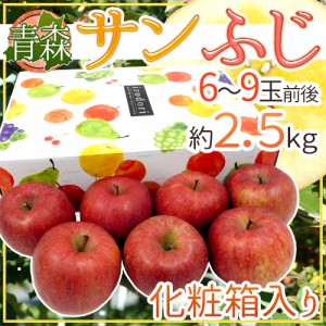 青森産 ”サンふじりんご” 6～9玉前後 約2.5kg 化粧箱 りんご 送料無料