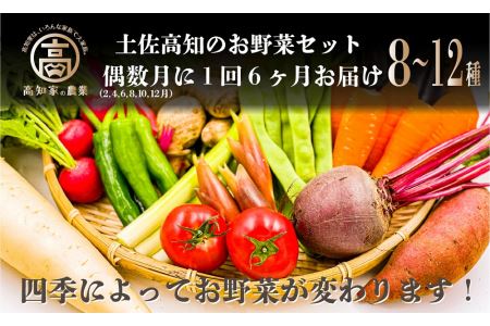 ★北海道・沖縄配送不可★高知の新鮮野菜セット 旬の野菜を味わう6ヵ月便