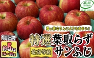 1月発送贈答用 葉取らず サンふじ 約5kg 