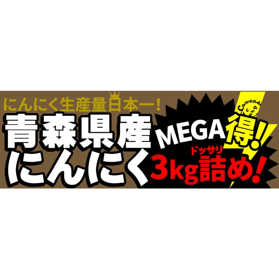 にんにく 青森県産 訳あり 3kg バラ詰め 送料無料 2023年度産 [産地直送のため他商品と同梱不可]