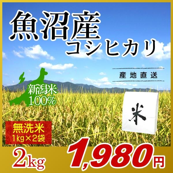 魚沼産 コシヒカリ 無洗米 2kg(1kg×2袋)／新米 米 お米 新潟米 新潟 コシヒカリ 南魚沼産 魚沼 白米 精米 高級米 ブランド米 エコ梱包