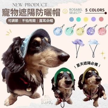 現貨隔日到貨 寵物遮陽防曬帽 太陽帽 寵物帽 露耳朵帽子 狗狗帽 防脫落可調節盆帽 帽子 寵物 防曬 遮陽 漁夫帽