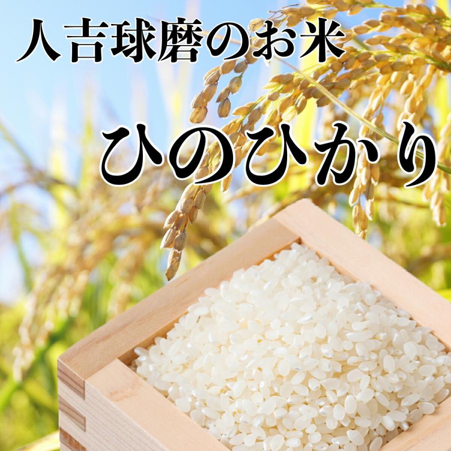 選べる 野菜とお米・牛乳・卵セット 新鮮野菜果物は12品以上 野菜詰め合わせ  卵 牛乳 お米 野菜セット 野菜詰め合わせ   詰合わせ 通販  九州