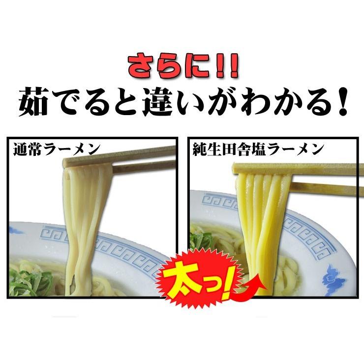  讃岐 生太 田舎 塩ラーメン（大ボリューム 1人前130g×4食 特選塩スープ付） 送料無料 ネコポス 激ウマ