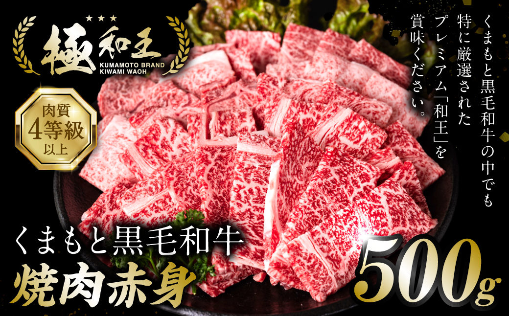 極和王シリーズ くまもと黒毛和牛 焼肉赤身 500g 熊本県産 牛肉