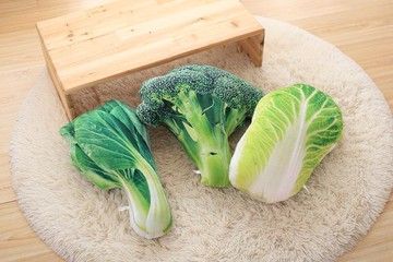 仿真花椰菜/青菜/大白菜抱枕/靠枕 午安枕/生日禮物/聖誕節/午安枕/靠墊/靠腰/另有蝦仁枕