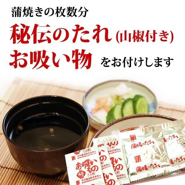 お歳暮 ギフト 2023 うなぎ 国産 プレゼント 土用の丑の日 蒲焼き 訳あり 食べ物 誕生日 お祝い ウナギ 鰻 お年賀 御歳暮 御年賀 簡易箱 pon-5 3〜5人用 AA