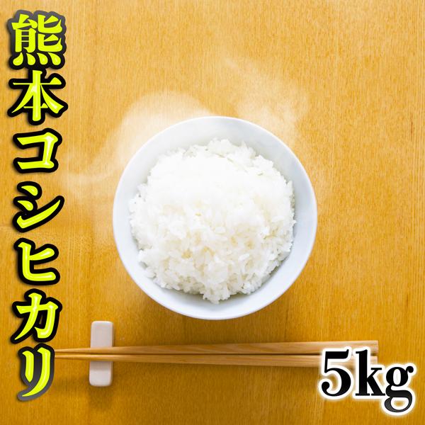 お米 米 5kg 白米 熊本県産 こしひかり あすつく 新米 令和5年産 コシヒカリ 5kg1個 くまもとのお米 富田商店 とみた商店