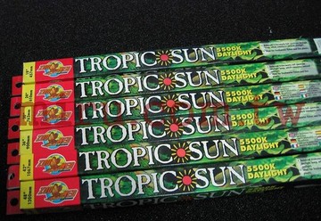 【西高地水族坊】ZOO MED(ZOOMED) 長效加強鹵素燈管30" (25W)