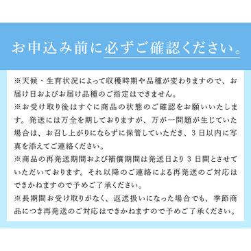 ふるさと納税 ビッグりサイズの『フローズンブルーベリー（冷凍ブルーベリー）』400g×2品種 山梨県北杜市