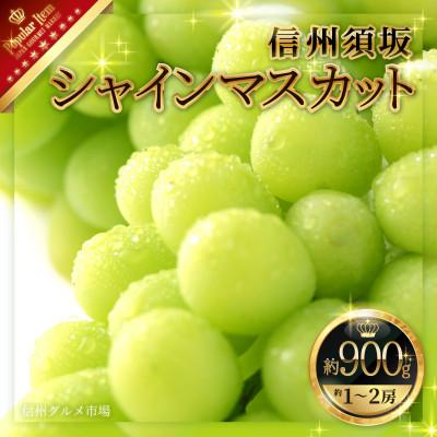 ふるさと納税 須坂市 　人気のシャインマスカット 約900g 信州グルメ市場厳選