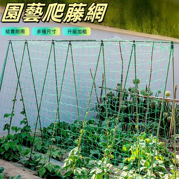 爬藤網 圍籬網 防鳥網 網子 塑膠網 尼龍網 鳥網 防蛇網 防鴿網  絲瓜網 爬藤 網室 網子 園藝 攀爬網
