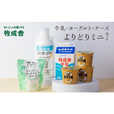 ふるさと納税 ＜牧成舎＞牛乳 ヨーグルト チーズ よりどりミニセット 4種 飛騨産生乳で作ったこだわりの乳製品セット 単身用 一人暮らし 2人暮ら.. 岐阜県飛騨市