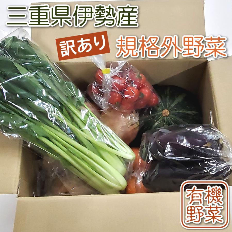 訳あり野菜 規格外野菜 とれたて新鮮 旬の 野菜セット 野菜詰め合わせ 4〜5種 ふぞろい 大きさお任せ 協生農法 有機野菜 入り 三重県 伊勢産 産地直送 送料無料