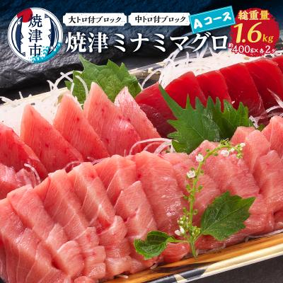 ふるさと納税 焼津市 焼津ミナミマグロAコース(a60-018)