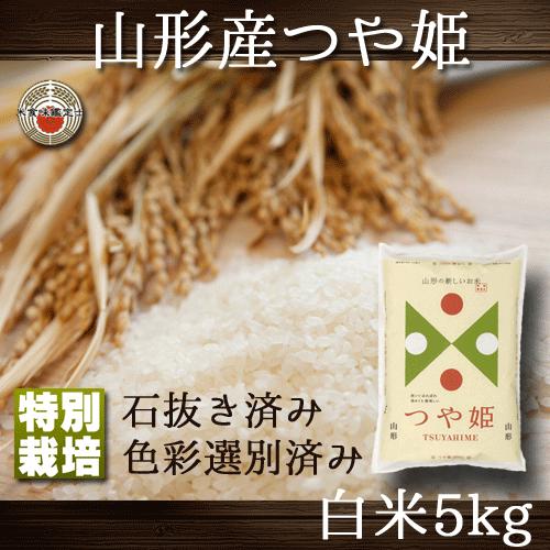 新米 つや姫 山形県産 白米 5kg 特別栽培 送料無料