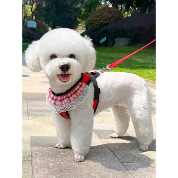 狗狗牽引繩小型犬狗繩子胸背帶比熊泰迪可愛網紅遛狗牽引繩背帶式
