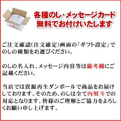 北海道産 ホタテ貝柱 500g 帆立 刺身 ギフト ほたて 貝柱 北海道 お取り寄せ グルメ 送料無料 オホーツク