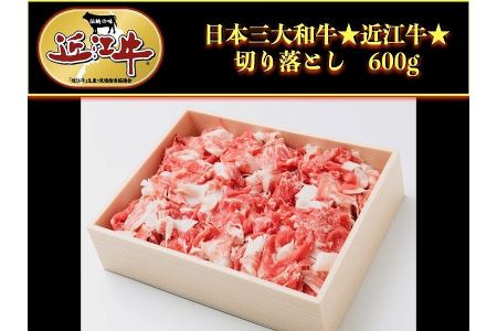 近江牛切り落とし600g