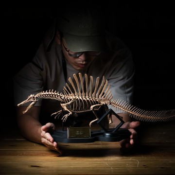 古生物3D列印模型-棘龍
