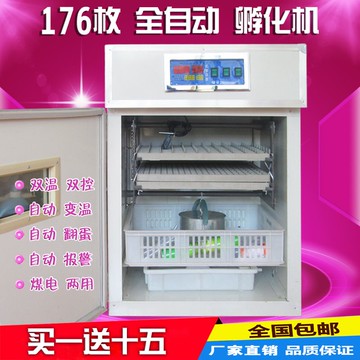 【台灣公司 可開發票】孵化機家用小型孵化器176枚全自動小雞孵蛋器鴨鵝鴿子鵪鶉孵蛋箱