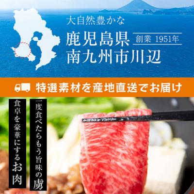 ふるさと納税 南九州市 4等級をたっぷり!鹿児島黒毛和牛肩ロース切落し500g