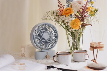 BRUNO 自動搖擺座枱 USB 風扇 BDE061