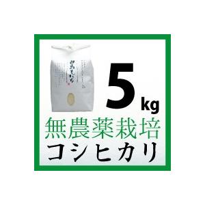 有機JAS認証　農薬不使用　コシヒカリ 5kg　　長野県白馬村