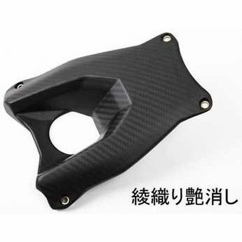 SPEEDRA スピードラ フロントフェンダーアーム ドライカーボン