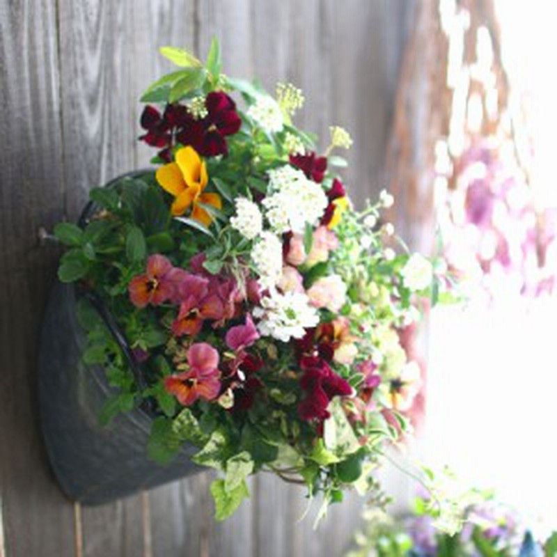 春の寄せ植え 花うるるアレンジ メタルポット 寄せ植え Sサイズ 寄植え ブリキ メタル ハンギング 花束 ギフト プレゼント 新築祝い 通販 Lineポイント最大1 0 Get Lineショッピング