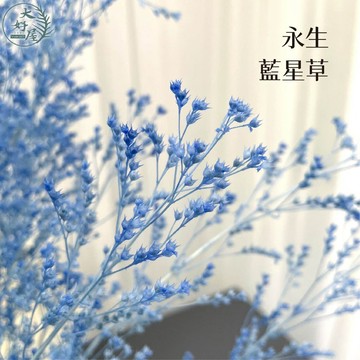 大好屋 台灣現貨 永生藍星草 水晶花 小星花 迷你風鈴花 2克裝 小份量 DIY 花藝 永生花  乾燥花 材料包